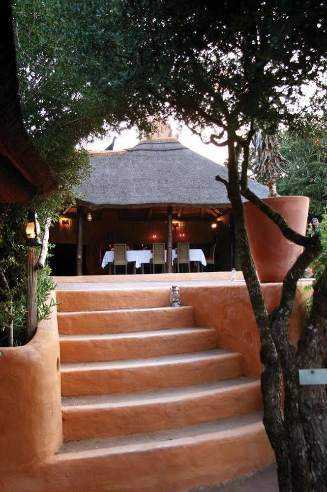 Amakhala Safari Lodge Paterson Exterior foto